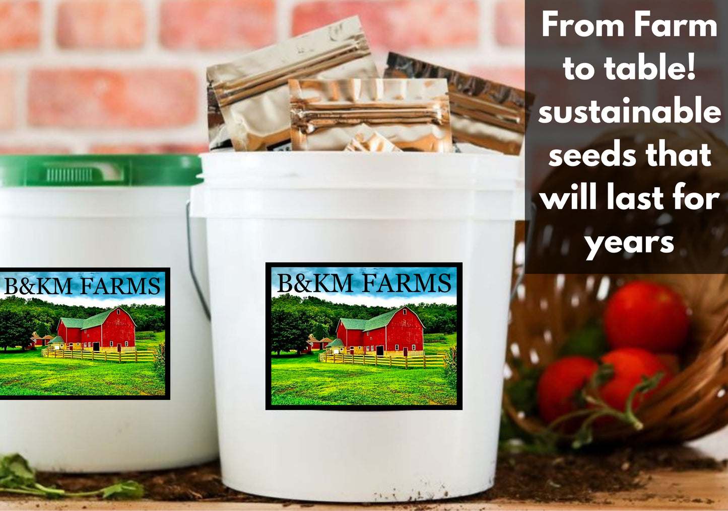 20 Vegetable Seed Packets