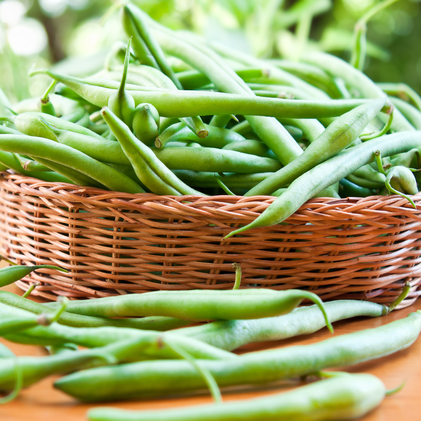 Green Bean Vegetable Seeds- Bush - B&KM Farms Green Bean Vegetable Seeds- Bush - B&KM Farms