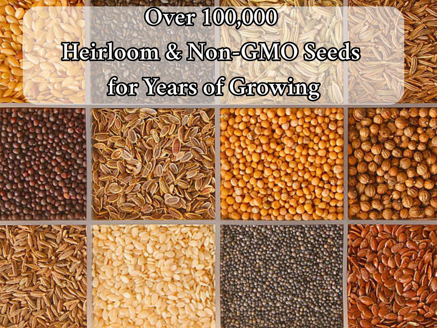 100 Vegetable Seed Packets