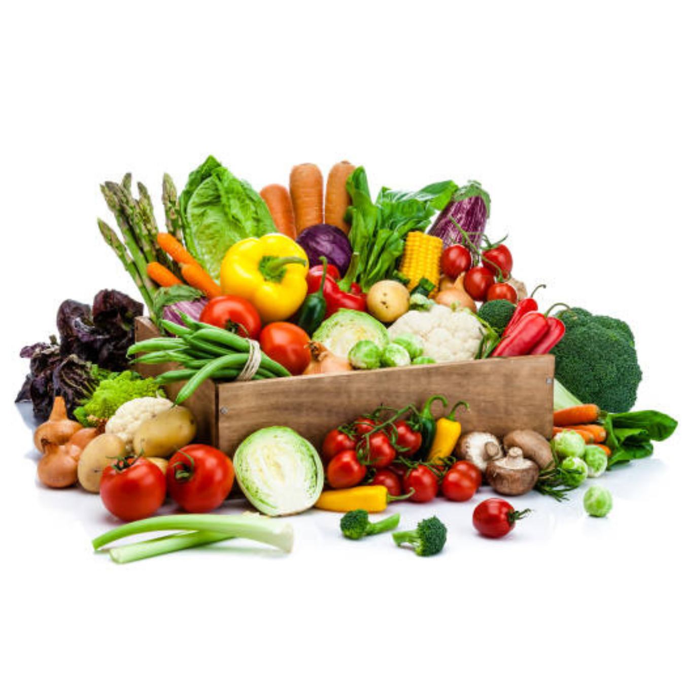 Vegetable Garden Seeds