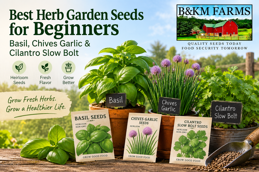 Best Herb Garden Seeds for Beginners Basil, Chives Garlic & Cilantro Slow Bolt