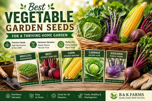 Best Vegetable Garden Seeds