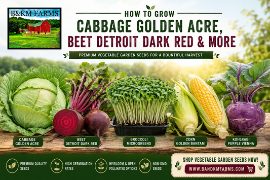 Cabbage Golden Acre