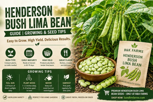 Henderson Bush Lima Bean