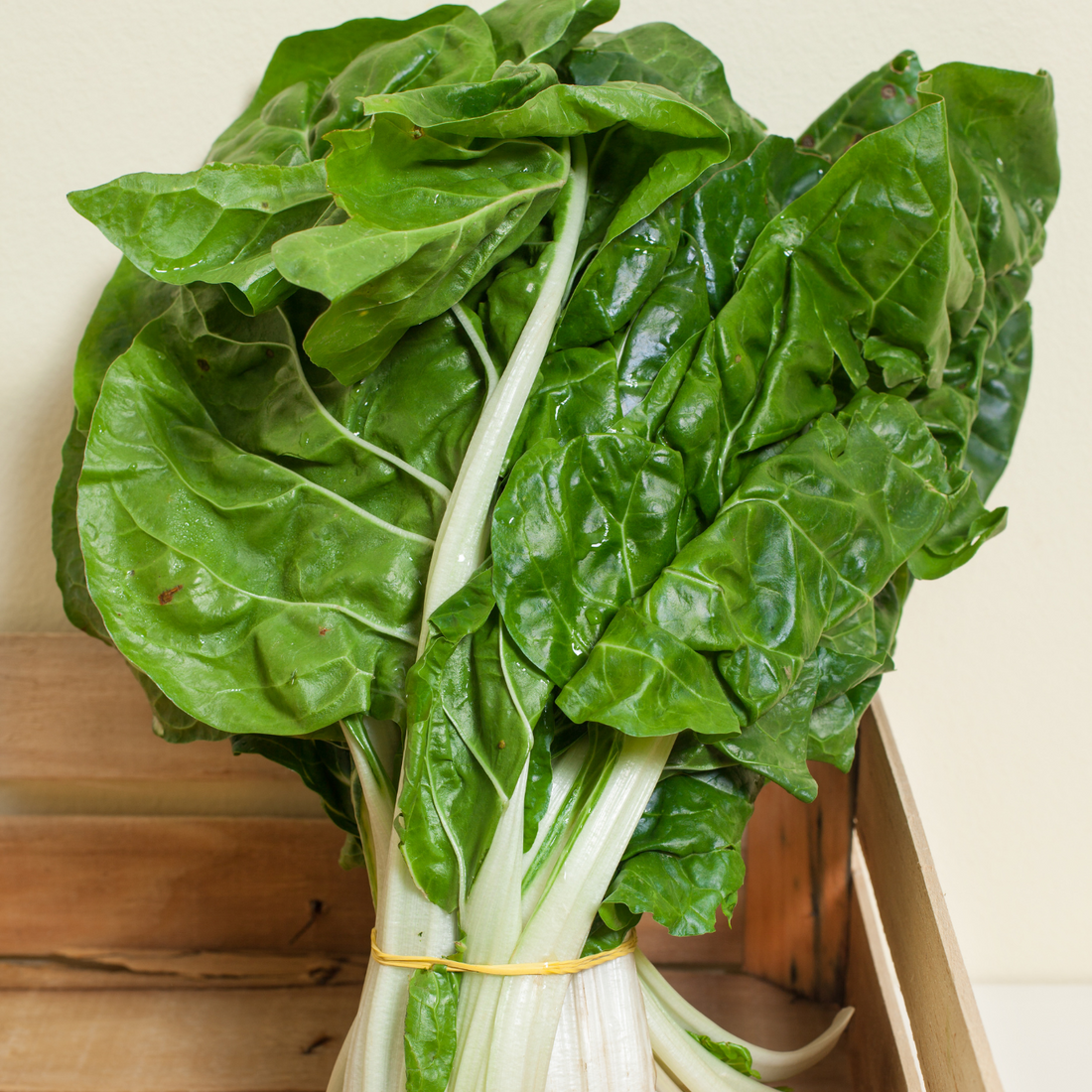 Giant-Swiss-Chard
