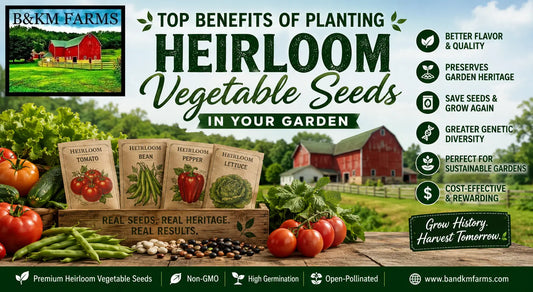 Top Benefits of Planting Heirloom Vegetable Seeds in Your Garden