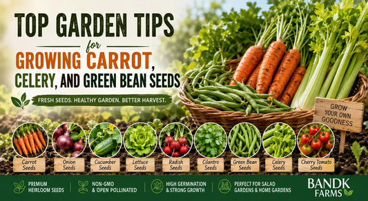 Top Garden Tips for Growing Carrot, Celery, and Green Bean Seeds