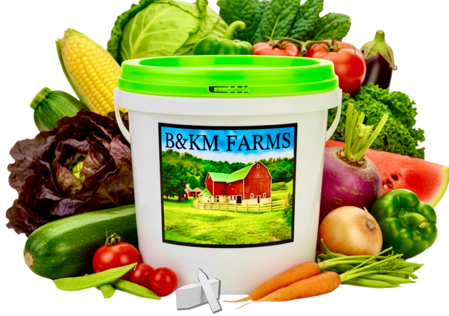 50 Vegetable Seed Packet Vault: 50,000 Heirloom Seeds