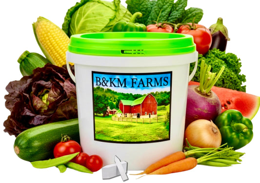 20 Vegetable Seed Packets