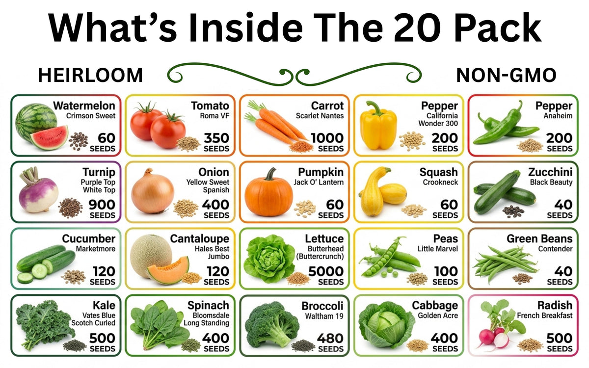 Vegetable Seed SALE Now-Free Shipping - High-Quality Heirloom Seeds – B&KM Farms
