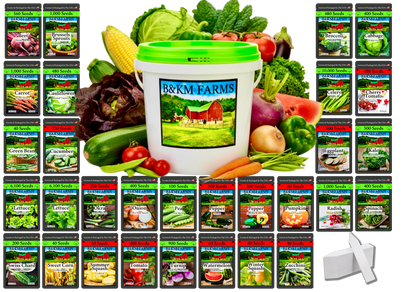 30 Seed Packet Vault: Heirloom, Non-GMO Vegetable Seed Packets