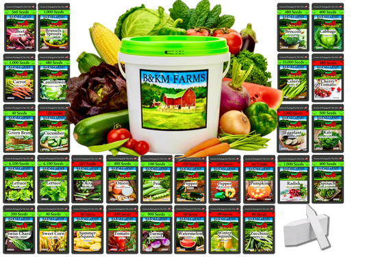 30 Seed Packet Vault: Heirloom, Non-GMO Vegetable Seed Packets