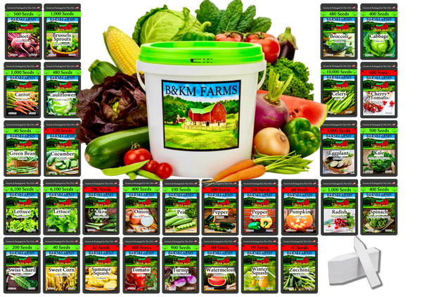 30 Seed Packet Vault: Heirloom, Non-GMO Vegetable Seed Packets