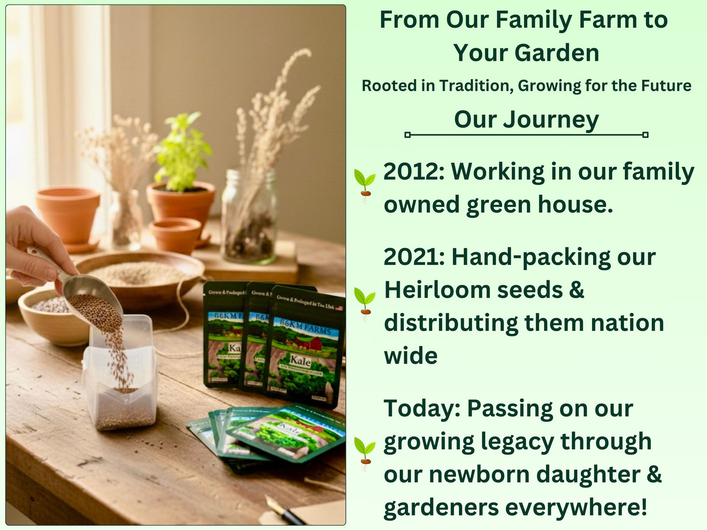 30 Seed Packet Vault: Heirloom, Non-GMO Vegetable Seed Packets