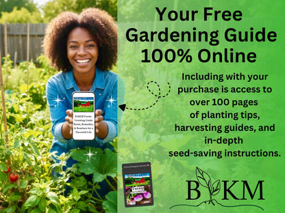 30 Seed Packet Vault: Heirloom, Non-GMO Vegetable Seed Packets