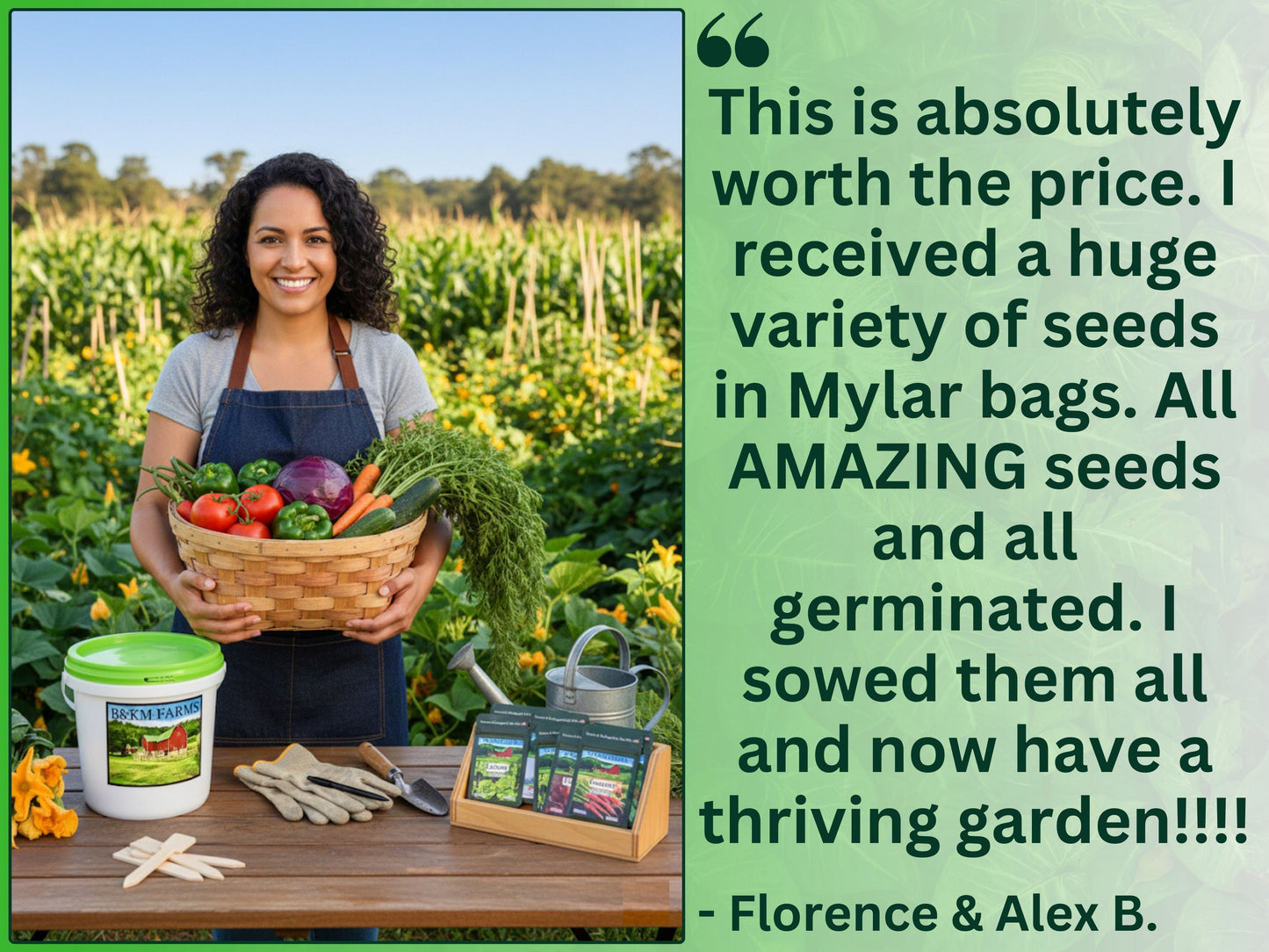 30 Seed Packet Vault: Heirloom, Non-GMO Vegetable Seed Packets