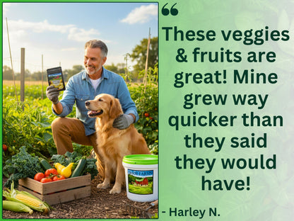 30 Seed Packet Vault: Heirloom, Non-GMO Vegetable Seed Packets