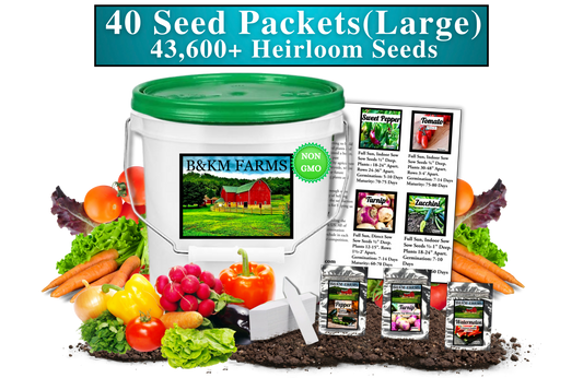 40 Vegetable Seed Packets