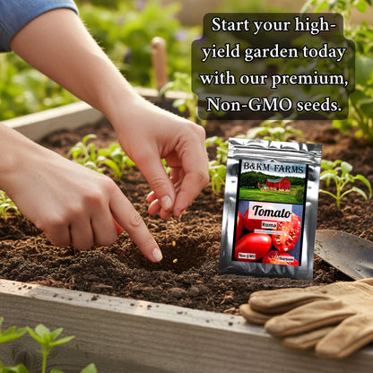 BEST VALUE: 100,000 Vegetable Seed Vault. 100 Seed Packets