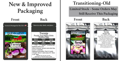BEST VALUE: 100,000 Vegetable Seed Vault. 100 Seed Packets