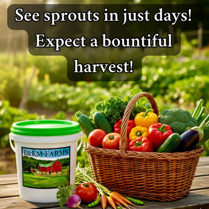 50 Vegetable Seed Packet Vault: 50,000 Heirloom Seeds