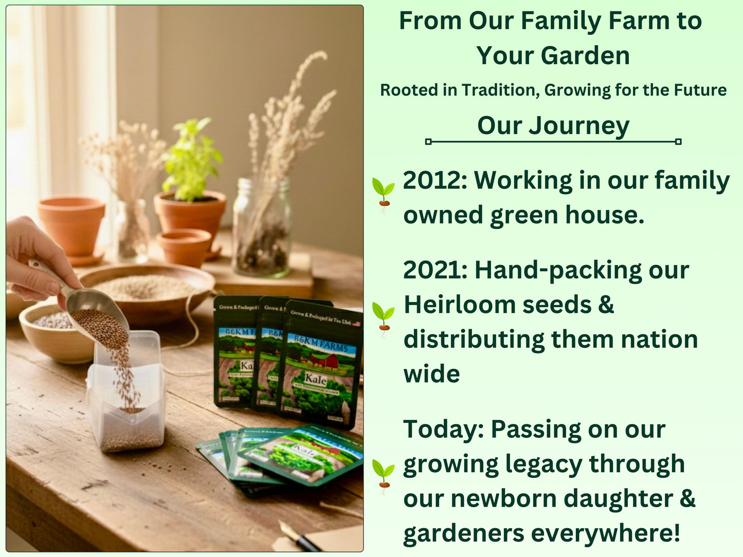 The Ultimate Heirloom Seed Collection | 50 Non-GMO Varieties | Build Your Own Custom Garden Bundle