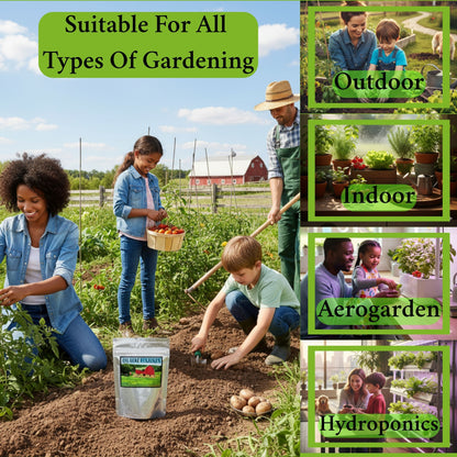 35 Varieties 2026 Zone Specific Garden Kit : Guaranteed Success with USDA Zones 3-10-Matched Seed Collections