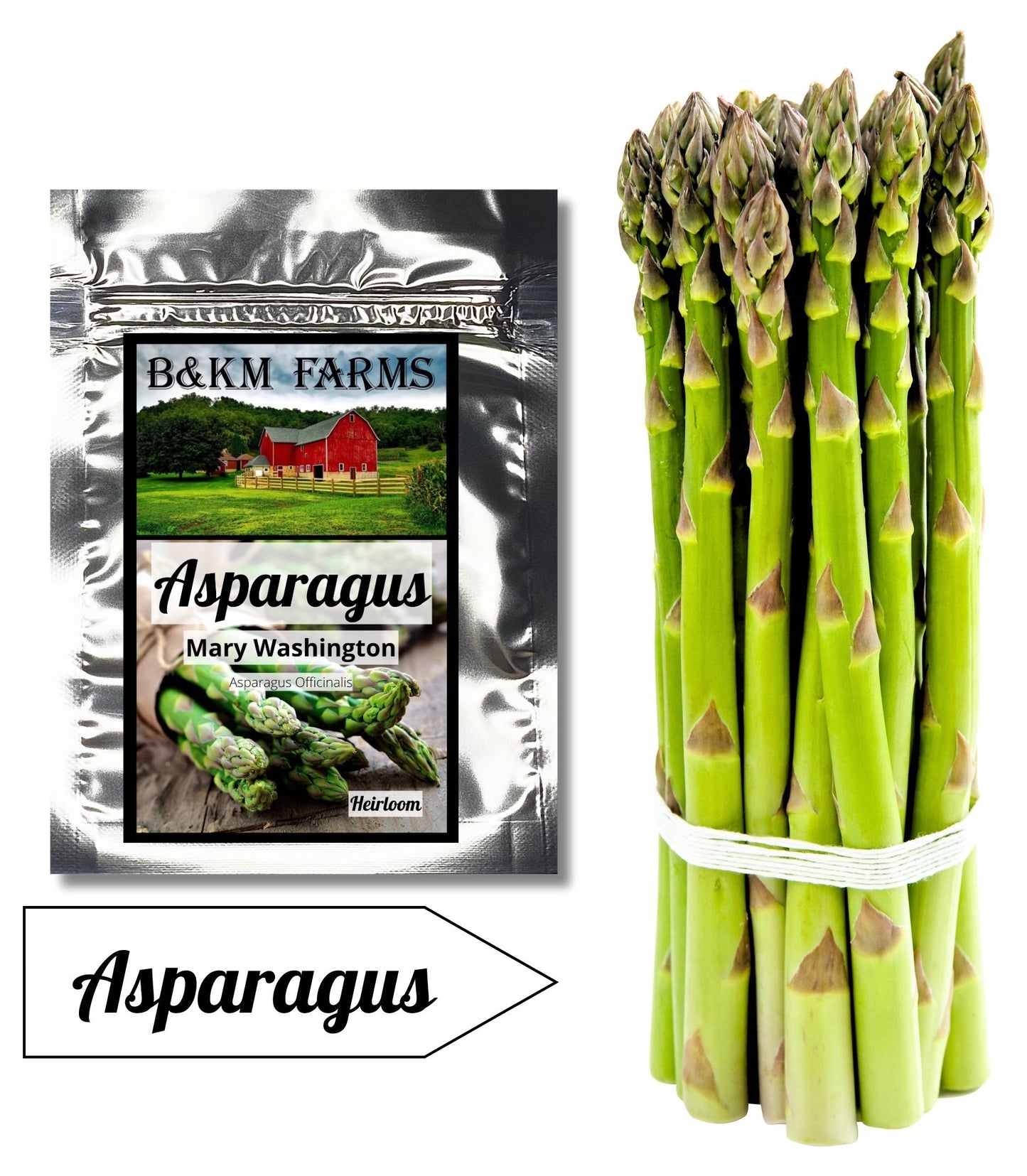 Asparagus Mary Washington: Crown Jewels of Your Garden