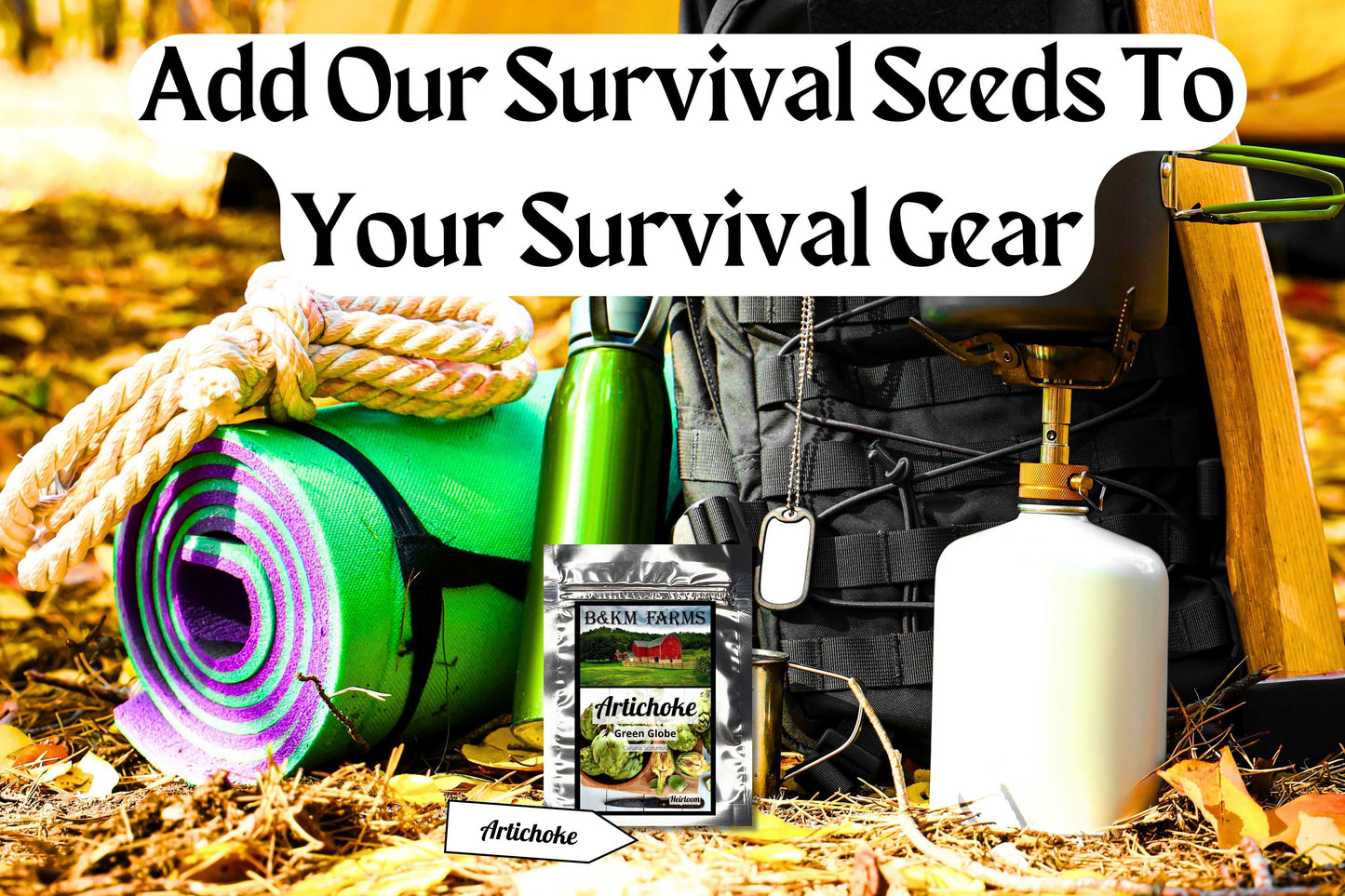 Artichoke Green Globe Seeds: Grow Your Own Globe Artichokes!