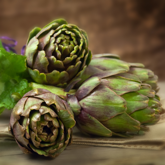 Artichoke Green Globe Seeds