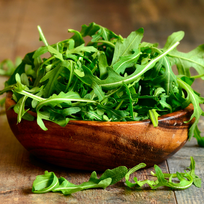 Arugula Rocket Microgreens