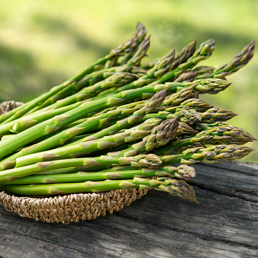 Asparagus Mary Washington