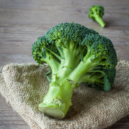 Broccoli Microgreens