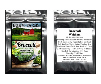 Broccoli Microgreens