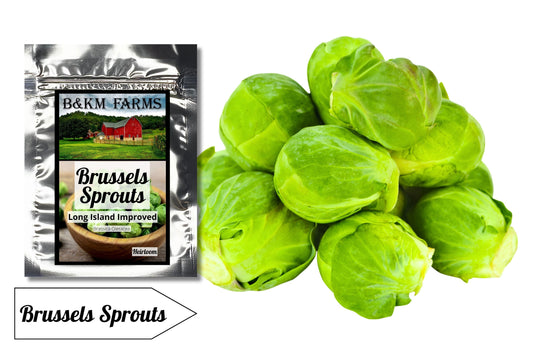 Brussels Sprouts Long Island Improved: Tiny Treasures, Mighty Flavor