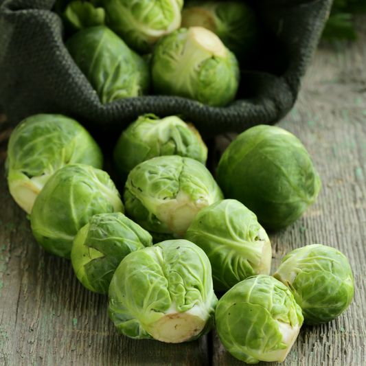 Brussels Sprouts Long Island Improved