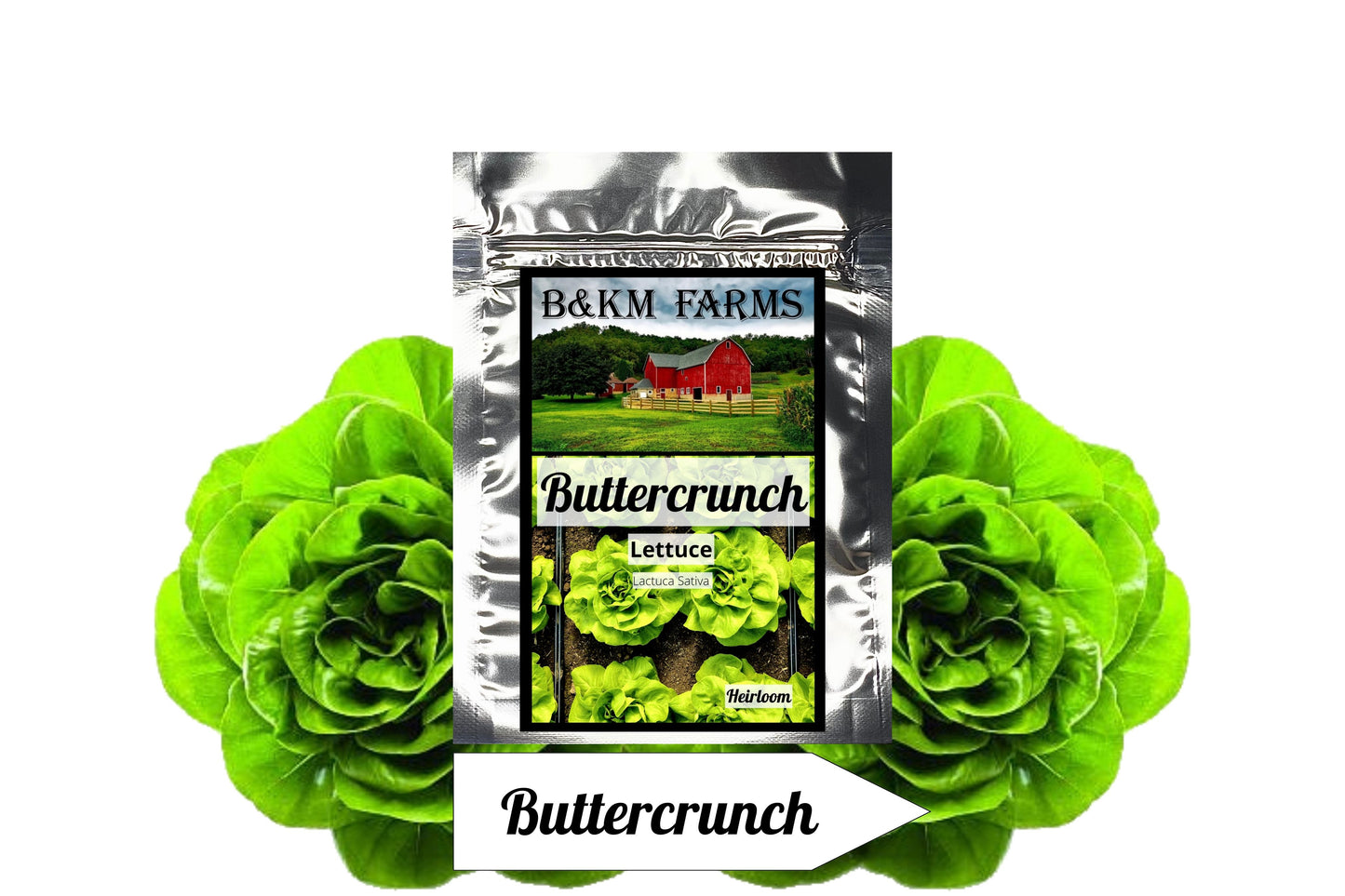 Buttercrunch Vegetable Seeds, Microgreens