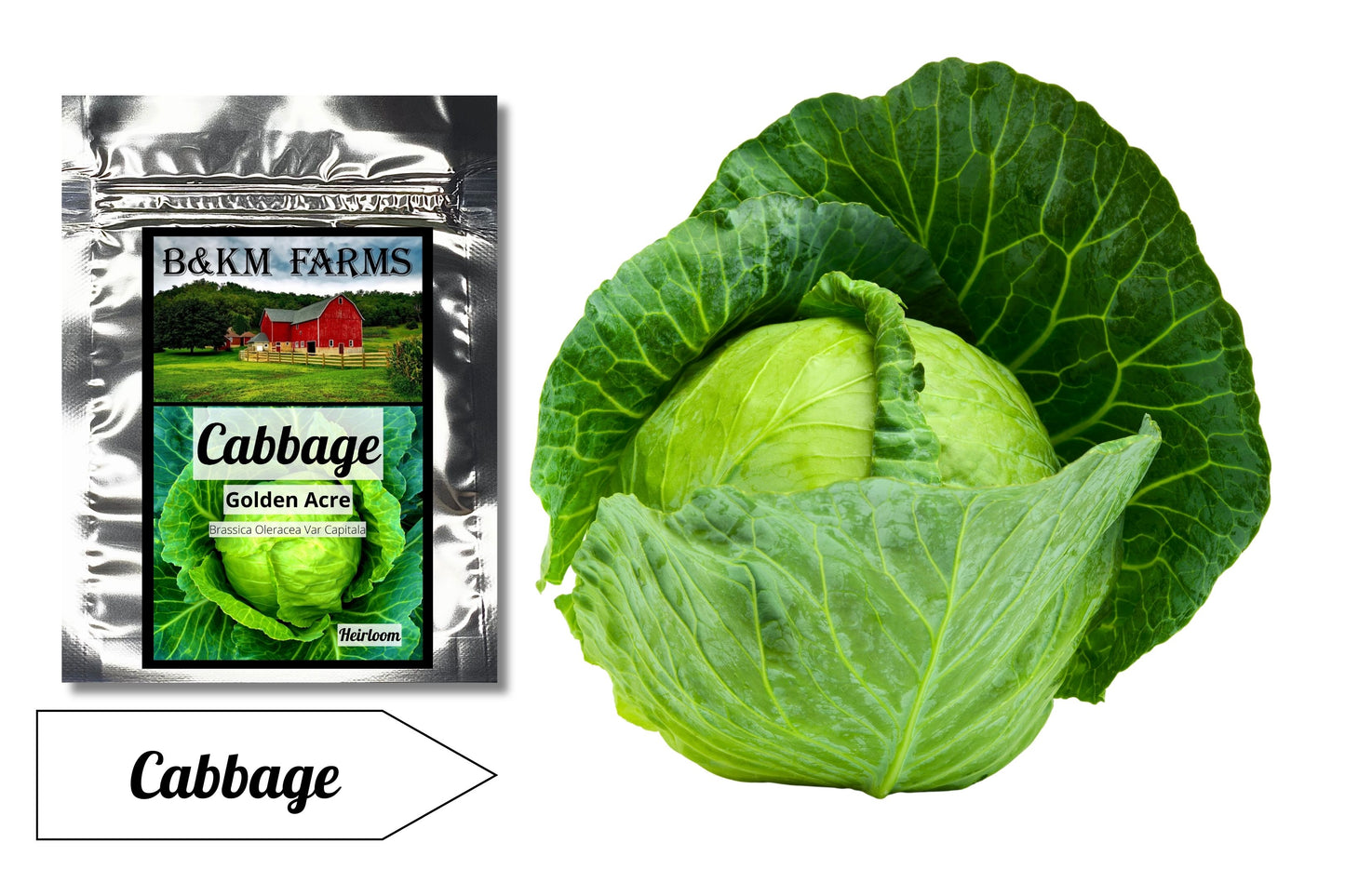 Cabbage Golden Acre: Sunshine on Your Plate