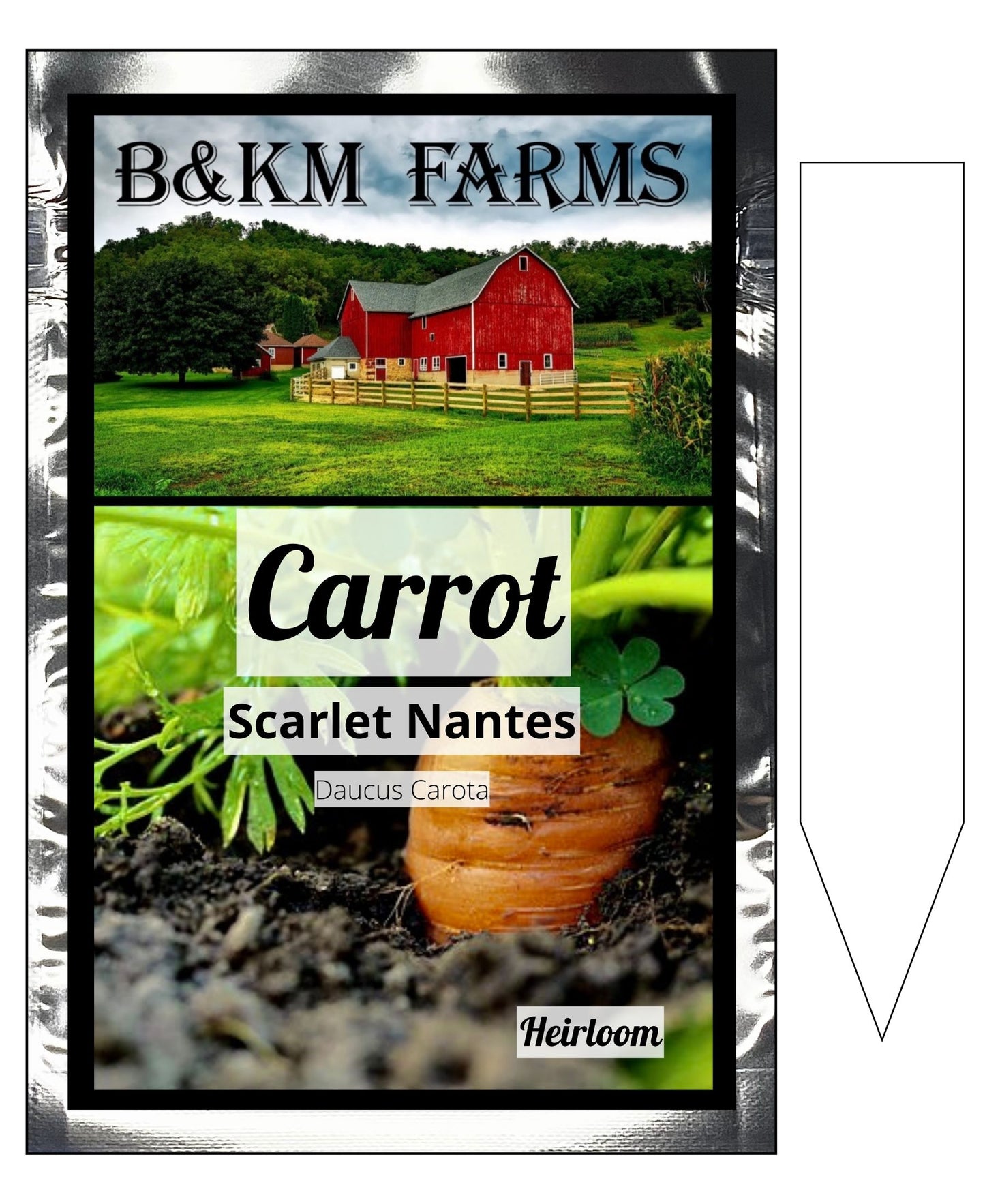 Carrots Scarlet Nantes: Sweet Sunshine Beneath the Soil