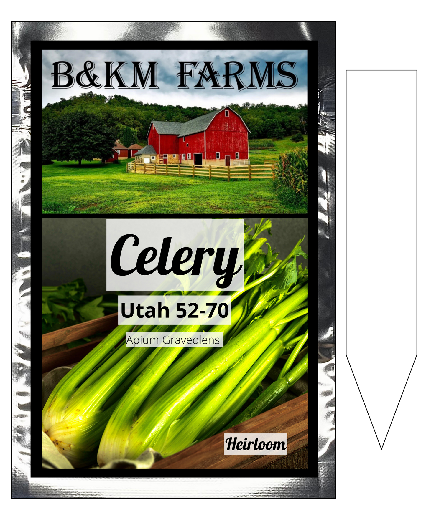 Celery Utah 52-70: Towering Stalks, Crisp Refreshment
