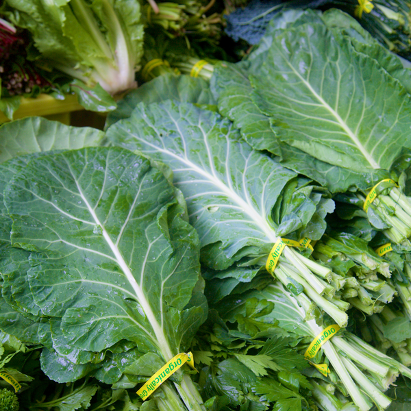 B&KM Farms | Heirloom & Non-GMO | Vegetable & Herb Seeds | USA-Grown
