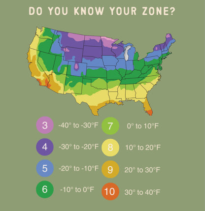 35 Varieties 2026 Zone Specific Garden Kit : Guaranteed Success with USDA Zones 3-10-Matched Seed Collections