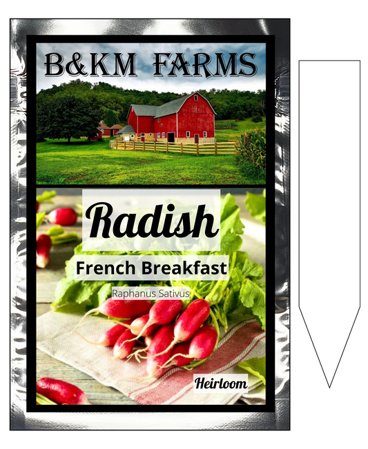 Radish French Breakfast: Crisp Touches of Sunshine, Bursting from Your Garden