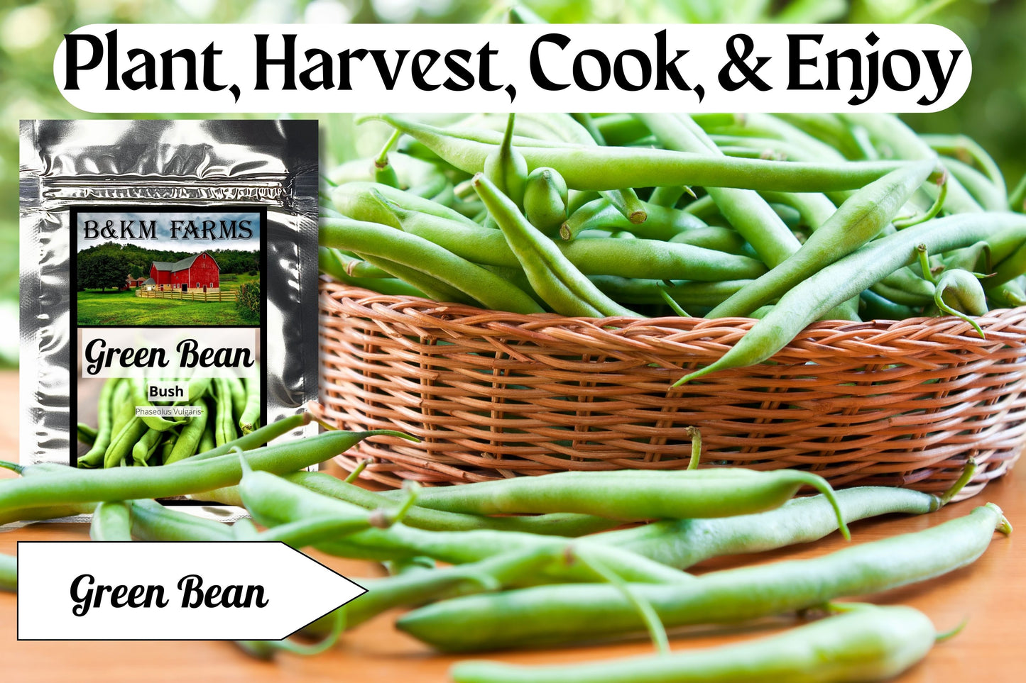 Green Beans Contender: Speedy Snaps, Straight from Your Garden