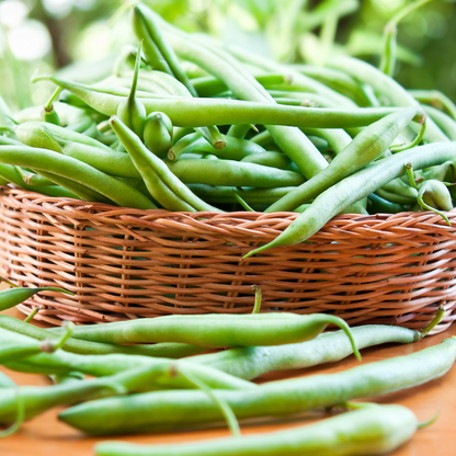 Green Beans Contender