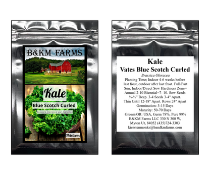 Kale Vates Blue Scotch Curled