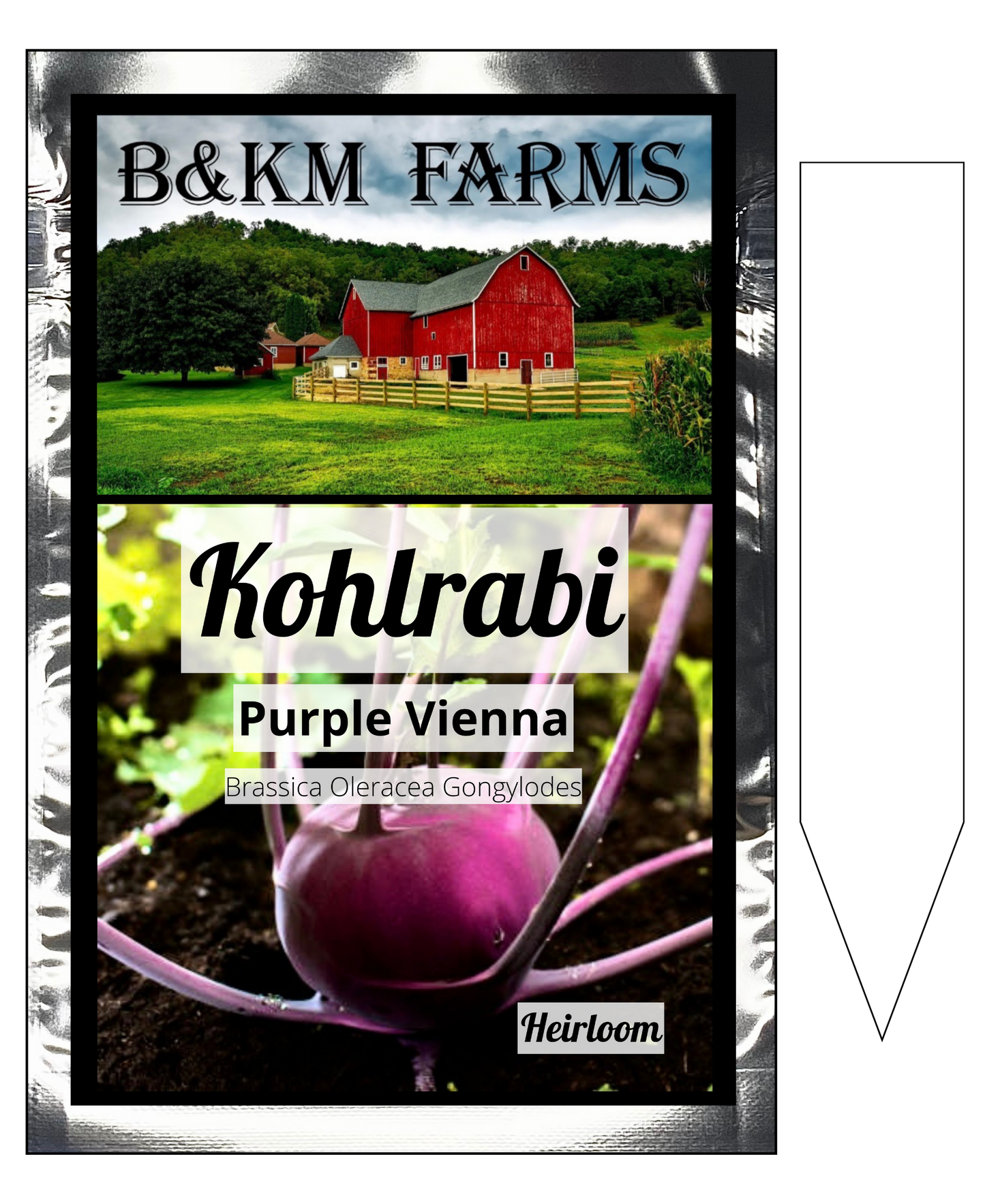 Kohlrabi Purple Vienna: Jewel-Toned Twists of Sweetness, Straight from Your Garden
