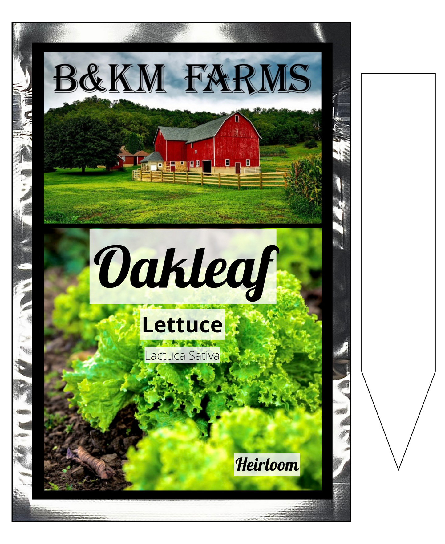 Oakleaf Lettuce: Tender Touches of Sunshine, Straight from Your Garden