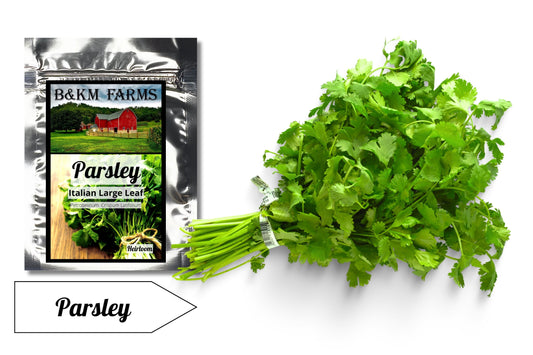 Parsley Dark Green Italian: Emerald Sparkles for Your Plate, Grown with Care