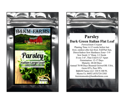 Parsley Dark Green Italian